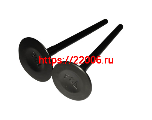 Клапан впускной/выпускной GY6-180 1P62F WD180 (162F.02.311+162F.02.312) Клапан впускной/выпускной GY6-180 1P62F WD180 (162F.02.311+162F.02.312)