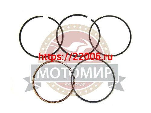 Кольца поршневые 4х такт. 65,50 мм (СВ200/СВ250)  (165FMM,166FMM)) (169FML)