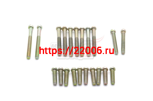 Набор винтов на двигатель Юп (21ед.) Набор винтов на двигатель Юп (21ед.)