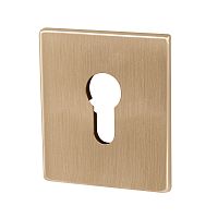 Накладка Armadillo (Армадилло) на цилиндр ESC.C.USS/K (ET Protector/USS) FSG флорентийское золото