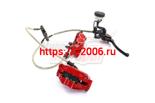 Гидравлика переднего тормоза в сборе TRIUMPH, ZF-KY, EKONIKA (ZF250-1) ТИП2(красные суппорты)