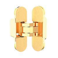 Петля Armadillo (Армадилло) скрытой установки U3D2000.TG FSG флор. золото