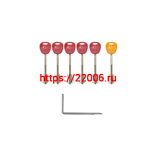 Комплект ключей Kale kilit (Кале килит) для перекодировки замков KALE SMART LINE фото 3