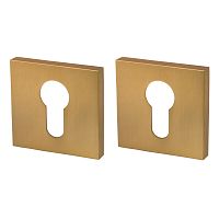 Накладка Armadillo (Армадилло) под цилиндр ET.K.USS52 (ET USS) FSG-39 флорентийское золото